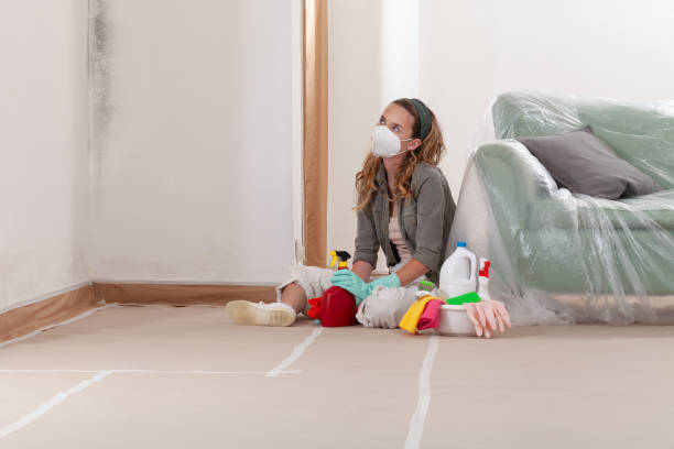 Reliable Black Mold Removal contractor in Lexington, WA by WQB Mold Removal